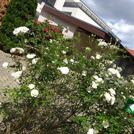 Am Hauptplatz * Pirna
