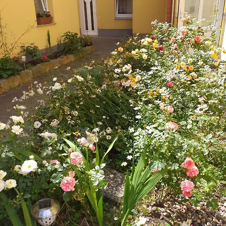Am Hauptplatz Apartament