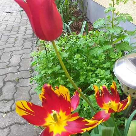 Am Hauptplatz *