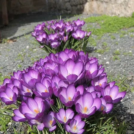 Am Hauptplatz * Pirna