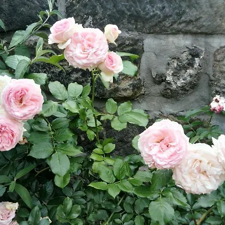 Apartment Am Hauptplatz