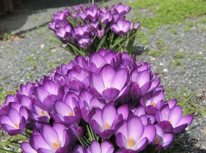 Am Hauptplatz * Pirna